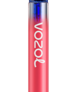 VOZOL Cigarette Électronique bubble gum fraise et canneberge - VOZOL NEON 800 6JXF64280