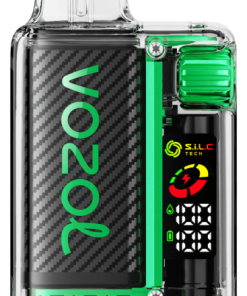VOZOL Cigarette Électronique glace à la pastèque - VOZOL VISTA 16000/20000 6JXF6420