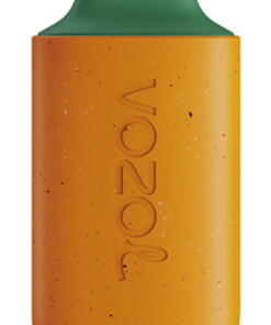 VOZOL Cigarette Électronique mangue pêche pastèque - VOZOL STAR 6000 6JXF64120