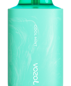 VOZOL E Cigarette menthe fraîche - VOZOL STAR 6000/8000v2 6JXF6457