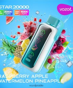 VOZOL Vape France framboise pomme pastèque ananas - VOZOL STAR 20000 6JXF64413